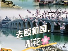 -颐和园