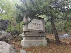 -白水寺森林公园