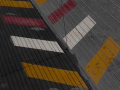 -花海间·即刻露营
