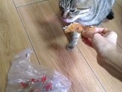 -三毛烤鸡(清泰街店)