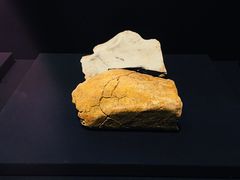 -北京周口店北京人遗址博物馆