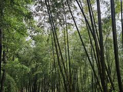 -乌石村