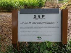 -张坝桂圆林公园