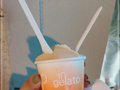 -Dip in Gelato(富民路店)