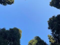 -韩山葵烤肉(太古里店)