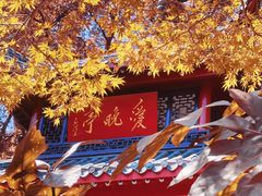 -岳麓山风景名胜区