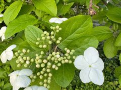 -九里河湿地公园