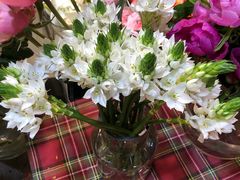 -大自然花鸟鱼虫市场