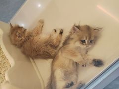 -凯德广场(西城店)