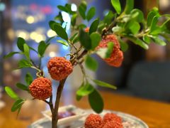 -粉巷13號陕菜馆