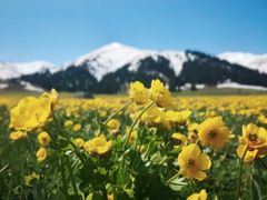 -新疆那拉提国家旅游度假区