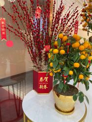 -丽美妍医疗美容·皮秒·立体分层抗衰