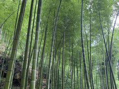 -水墨汀溪风景区
