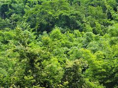 -华蓥山天意谷景区