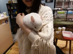 -藦茜花园宠物主题亲子互动体验馆(国顺东路店)
