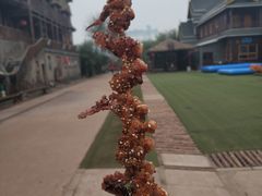 -呀路古热带植物园