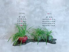 -金尚源SHANG