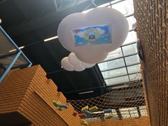 -中国宋庆龄青少年科技文化交流中心