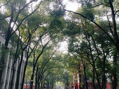 -四川大学(望江校区)