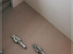 -麒麟中餐厅·经典粤菜·地道菜式老字号(广州长隆酒店)