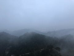 -大金鹰园