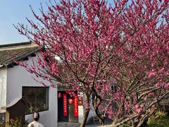 -山塘街