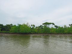 -东寨港红树林旅游区