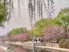 -元大都城垣遗址公园