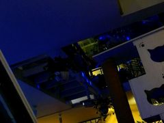 -Sirena海妖日咖夜酒