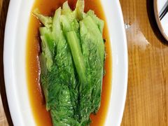 白灼罗马生菜-必点海鲜·鲅鱼水饺(鞍山西道店)
