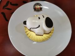 -史努比缤纷世界