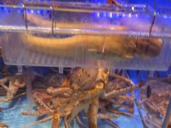 -阿伟海鲜楼·福建菜(延寿店)