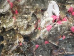 -宾朋海鲜特色美食餐厅·纯手工鲅鱼水饺(兴海路店)