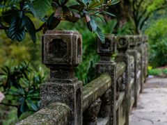 -老山国家森林公园
