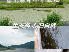 -腾冲北海湿地