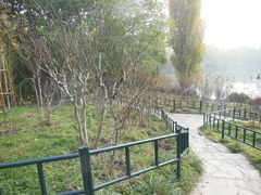 -紫竹院公园冰场