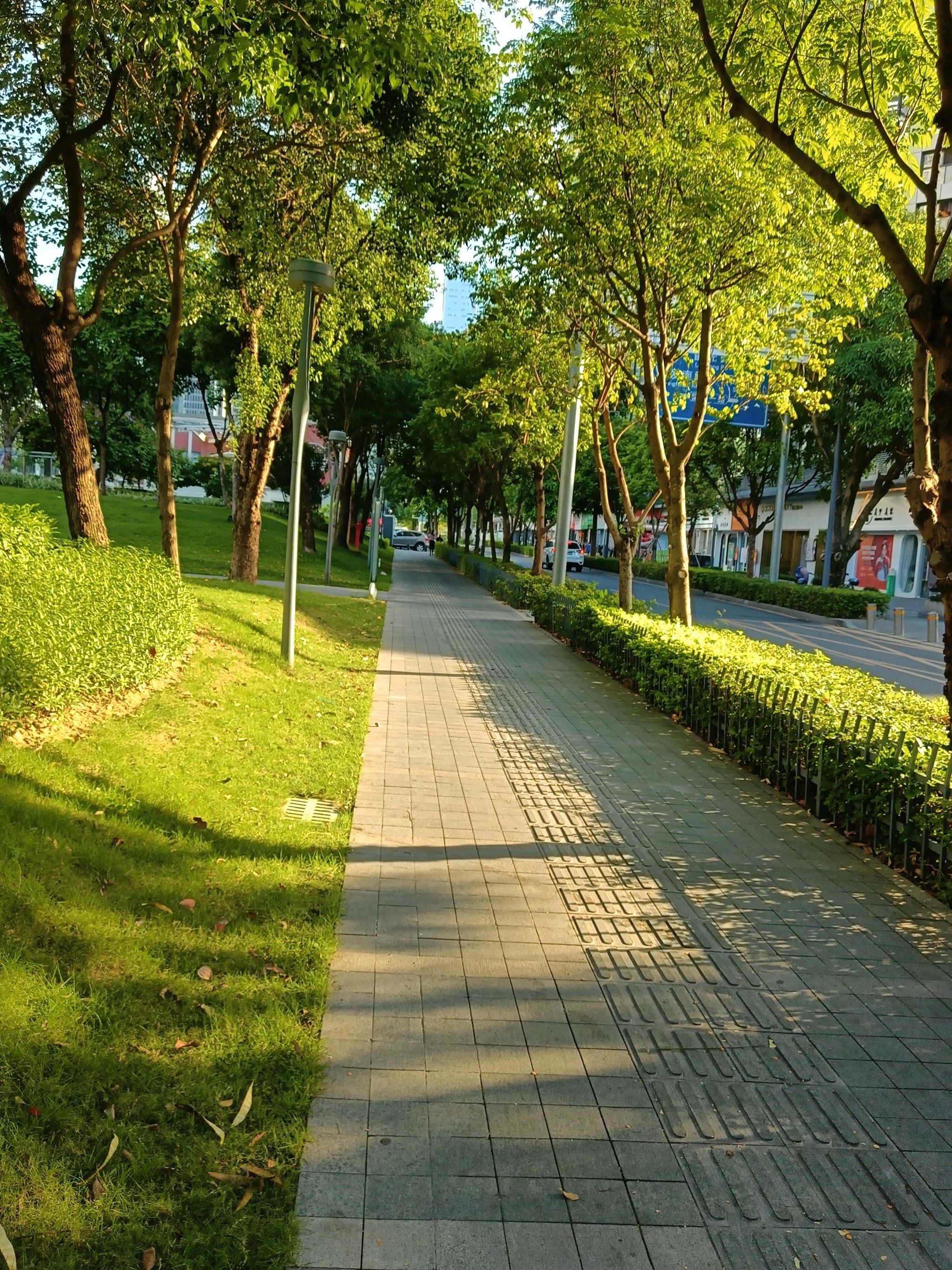 早晨跑步正当时