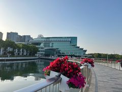 -金鸡湖景区