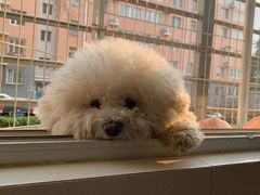 -百里峡七彩艺术小镇