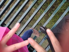 空中走廊-梦幻奥陶纪景区