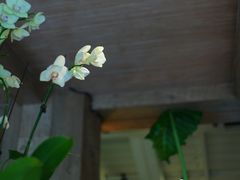 景观位-春暖花开(西溪店)