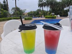 -河源万绿湖美思威尔顿酒店