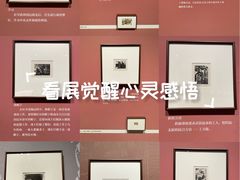 -四川美术馆