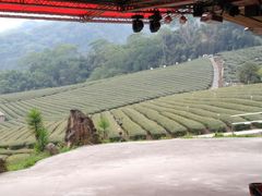 -优游吧斯邹族文化部落