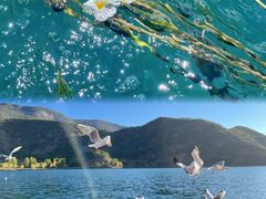 -丽江泸沽湖景区