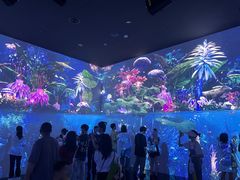 -中国湿地博物馆