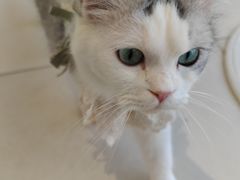 -怪兽屋·羊驼·猫咖·狗咖(俊华广场店)