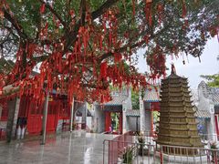 -国恩寺