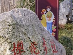 -合肥滨湖国家森林公园