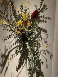 -芳香乐府疗愈空间·SPA·冥想